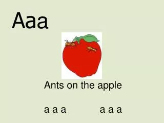 Ants on the apple a a a a a a