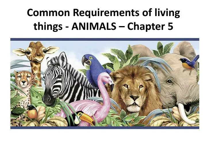common requirements of living things animals chapter 5