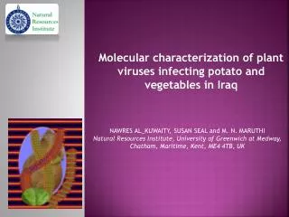 Molecular characterization of plant viruses infecting potato and vegetables in Iraq