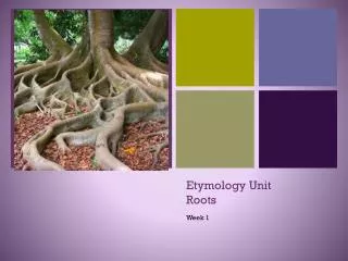 Etymology Unit Roots