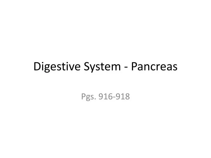 digestive system pancreas