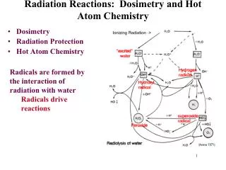 Radiation Reactions: Dosimetry and Hot Atom Chemistry
