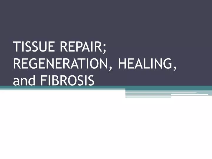 tissue repair regeneration healing and fibrosis