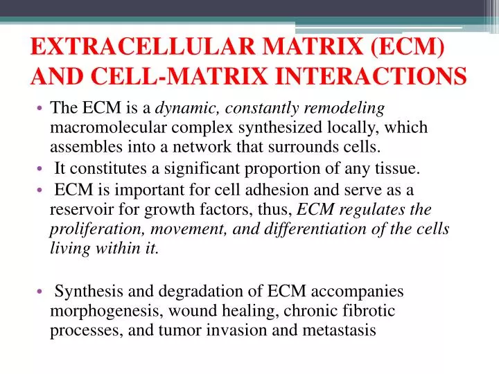 extracellular matrix ecm and cell matrix interactions