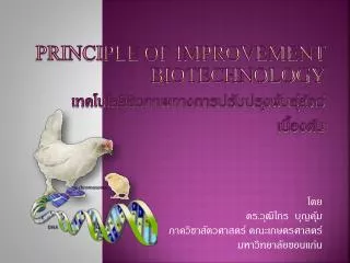 principle of improvement biotechnology