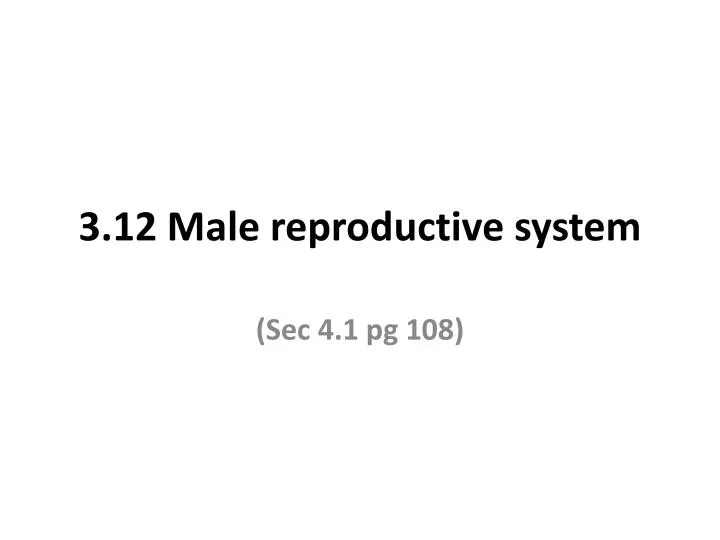 3 12 male reproductive system