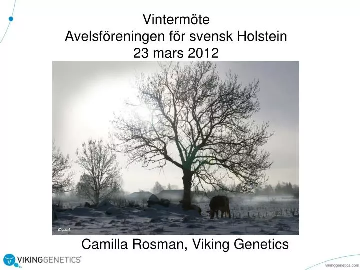 vinterm te avelsf reningen f r svensk holstein 23 mars 2012