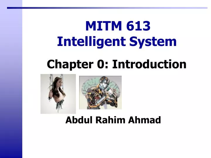 mitm 613 intelligent system