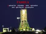 PAMELA - slide 1