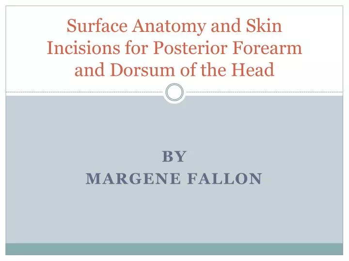 surface anatomy and skin incisions for posterior forearm and dorsum of the head