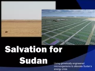 Salvation for Sudan