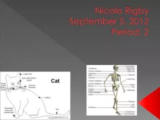 Nicole Rigby September 5, 2012 Period: 2