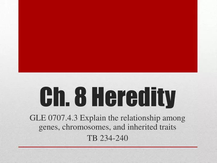ch 8 heredity