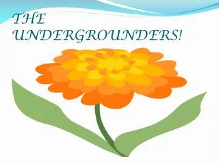 THE UNDERGROUNDERS!