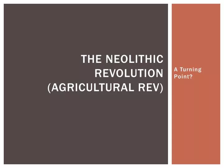 the neolithic revolution agricultural rev