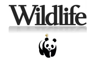 The Concept of wildlife