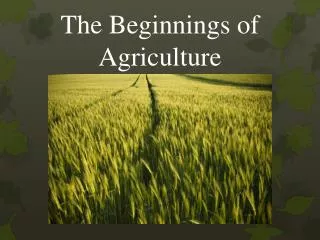 the beginnings of agriculture