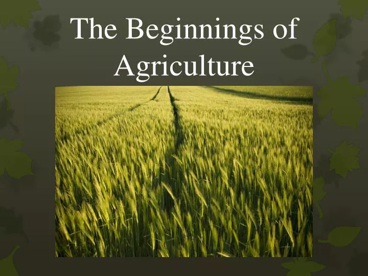 the beginnings of agriculture