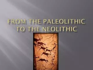 From the Paleolithic to the Neolithic