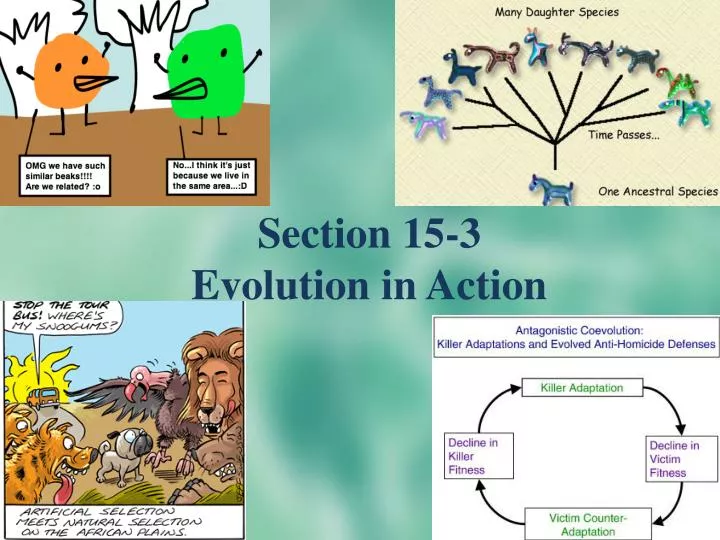 section 15 3 evolution in action