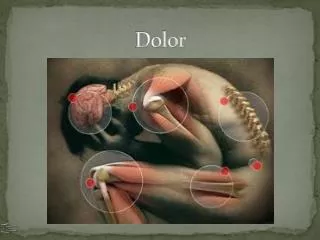 dolor