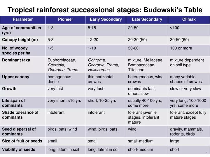 tropical rainforest successional stages budowski s table