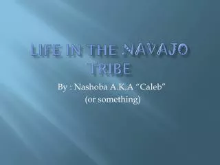 Life in the Navajo tribe