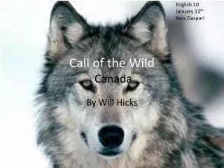 Call of the Wild Canada