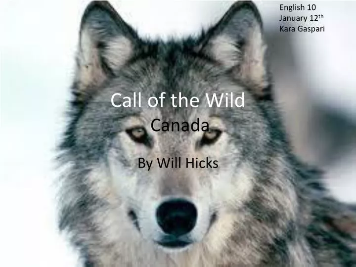 call of the wild canada