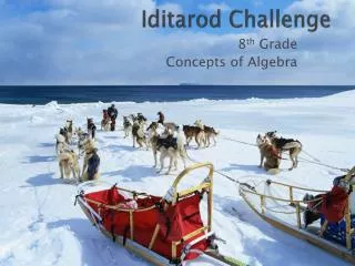 Iditarod Challenge