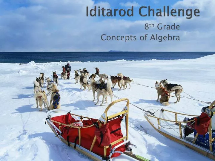 iditarod challenge