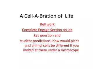 A Cell-A- Bration of LIfe