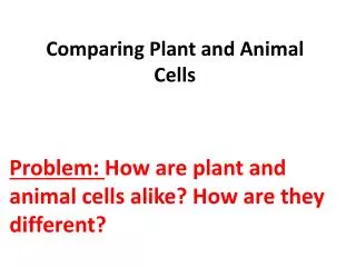Comparing Plant and Animal Cells