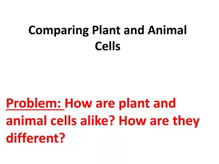 comparing plant and animal cells