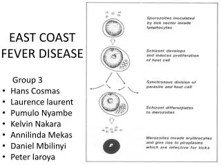 EAST COAST FEVER DISEASE