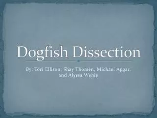 Dogfish Dissection