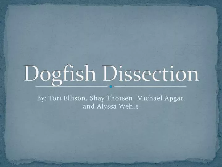 dogfish dissection