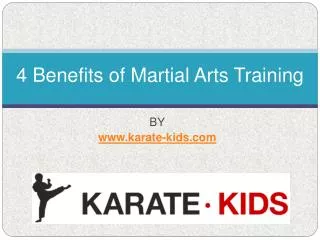 Online Karate Classes - The Right Way To Go