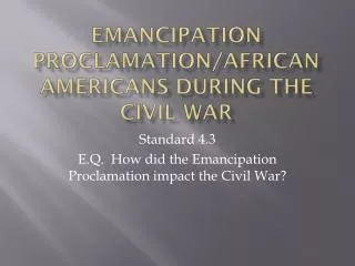 Emancipation Proclamation/African Americans during the Civil War