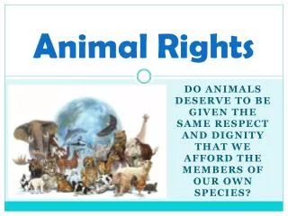 Animal Rights