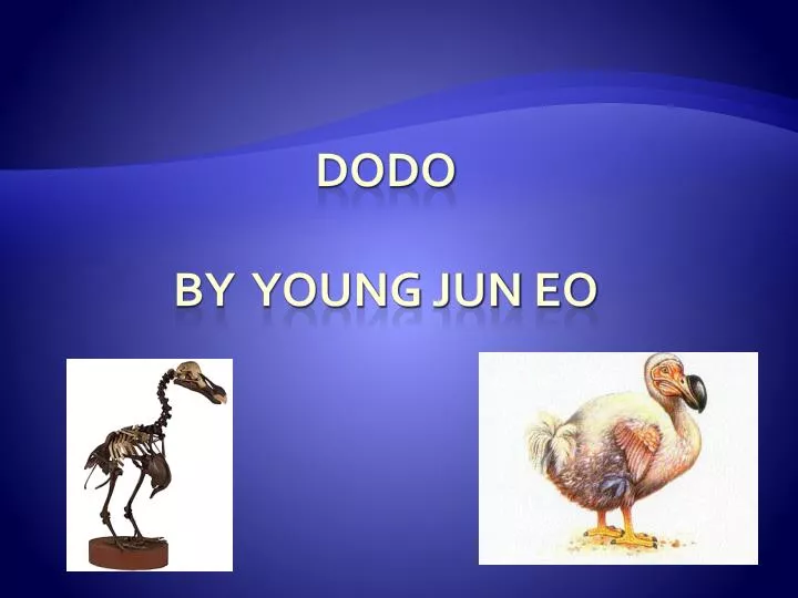 dodo by young jun eo