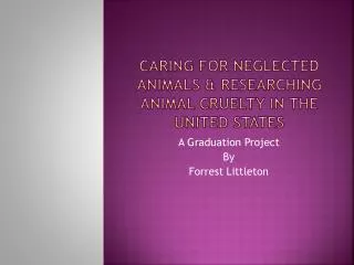 Caring for neglected animals &amp; Researching Animal cruelty in the United States