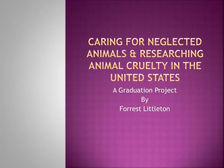 caring for neglected animals researching animal cruelty in the united states
