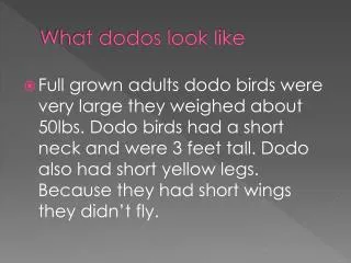What dodos look like