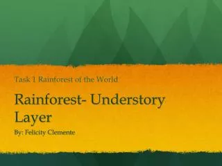 Rainforest- Understory Layer