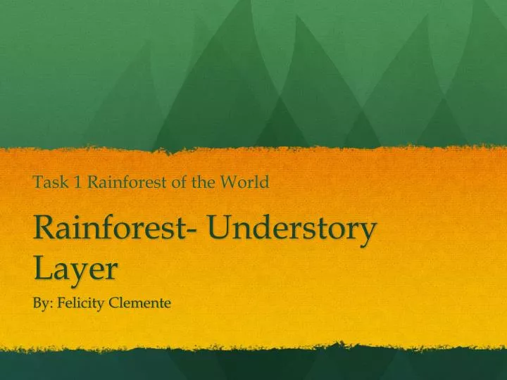 rainforest understory layer