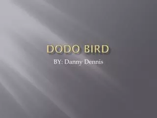 Dodo bird