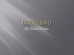 Dodo bird - slide 1