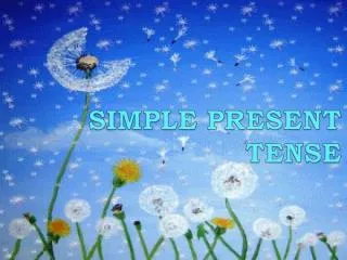 SIMPLE PRESENT TENSE