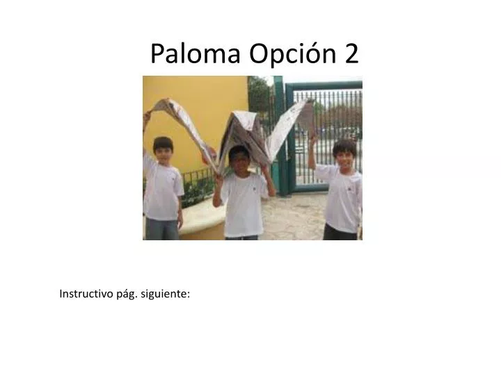 paloma opci n 2